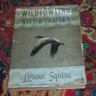Wildfowling with A Camera Lorene Squire HC DJ 1st 1938