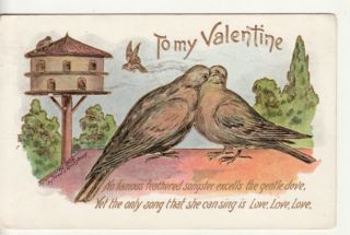 Valentine Birds Doves and Bird House 1906 Lounsbury Postcard