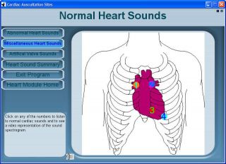 Heart and Lung Sounds Learning CD ROM with eBooks