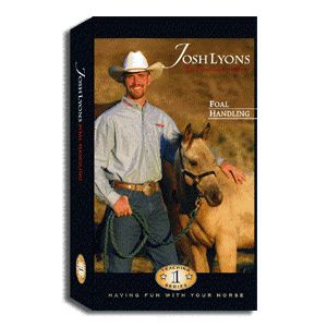 Josh Lyons Teaching Series 5 DVDs Fast Shipping