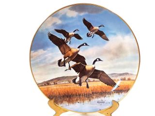 David Maass 1975 Wildfowl Gliding in Gorham Fine China 10 1 2 Plate