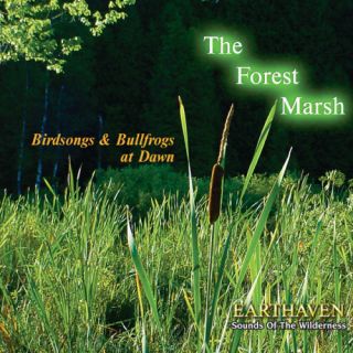 The Forest Marsh Nature Sounds Grant Mackay