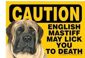 Funny Dog Sign Caution English Mastiff Magnet 7x5