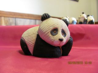 Rinconada Resting Baby Panda
