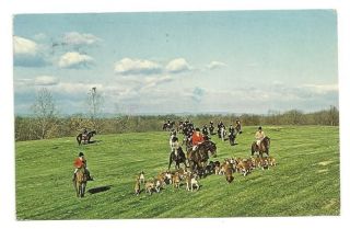 Middleburg Area VA Fox Hunting Vtg 1986 Postcard