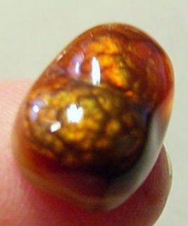 5 40 Ct Natural Freeform Slaughter Mountain Fire Agate R344