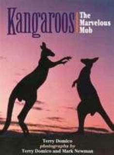 Kangaroos The Marvelous Mob by Terry Domico 1993, Hardcover