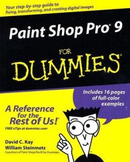 Dummies by William Steinmetz and David C. Kay 2005, Paperback