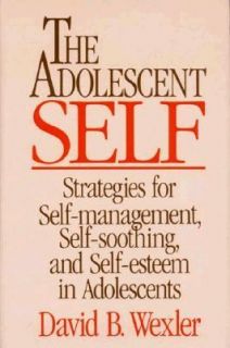 Self Esteem in Adolescents by David B. Wexler 1991, Hardcover