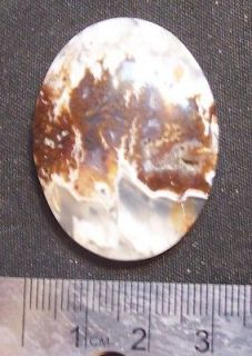 30mm x 40mm oval Wendover Ut Plume agate