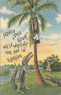 Linen Postcard. HONEY COME DOWN WESE WAITING FOR YOU IN FLORIDA