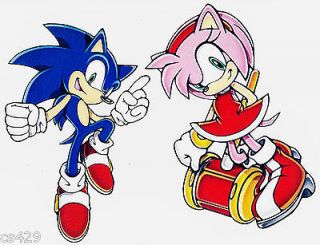 11 SONIC THE HEDGEHOG AMY ROSE WALL SAFE STICKER CHARACTER