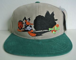 DS SPACE JAM SNAPBACK HAT by AMERICAN NEEDLE comic toons daffy kings