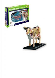 COW ANATOMY MODEL/PUZZLE,4 D Vision Kit #26100 TEDCO SCIENCE TOYS