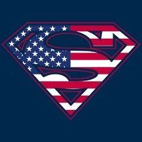 Licensed Superman US Flag USA American Shield Tee Shirt Adult Sizes S