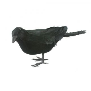 Black Crow Feathered Halloween Prop