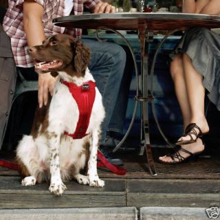 Kurgo X Large (80+ lb) Dog TruFit Harness & Leash RED