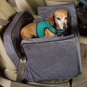 Medium Lookout I Dog Car Seat Pet bed Carrier Booster SUV Van ~21