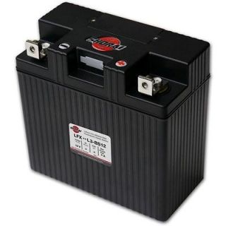 Iron Powersports battery 24AH 12V LFX24L3 BS12 with Charger BMS01