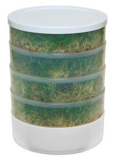 TRAY SEED SPROUTER Sprout Growing Kit With Alfalfa Seeds VKP1014