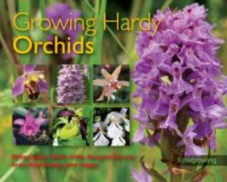 Newly listed GROWING HARDY ORCHIDS [978   PHILLIP CRIBB, ET AL. PHILIP