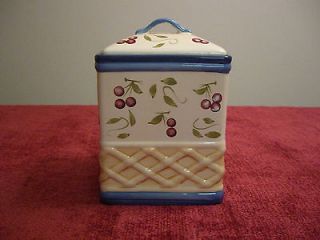 CHEERFUL HANDPAINTED AND UNIQUE THE PERFECT BIG BISCOTTI JAR
