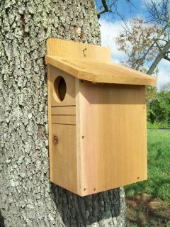 Cedar Squirrel House/ Squirrel Nesting Box