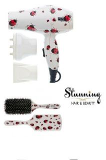 Gift Mini Travel Hair Dryer And Paddle Brush Ladybird Pattern