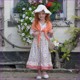 Flower Girl Nancy fancy dress up BNWT 3 5y Deluxe costume Oliver Twist