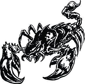 scorpion decals in Parts & Accessories