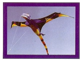 3D Black Wing Pterodactyl Single Line Kite by Carsten Domann. 45867