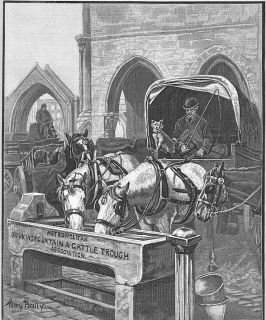CARRIAGE HORSES STOPPING AT DRINKING TROUGH DRAFT HORSE ANTIQUE PRINT