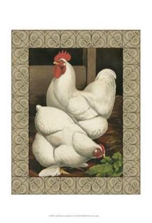 Roosters I Cassell 13 x 19 W/Deco Border Bantam White Cochins Chickens
