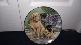 Tail of Devotion~Frank lin Mint Lab Puppy Dog Plate~