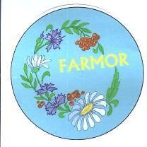 Swedish Norwegian Farmor Grandmother Magnet