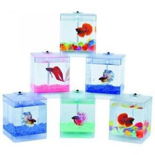 Creative Motion 12573 LED Aqua Box Cube Betta Fish Bowl Housing