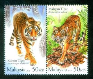 TIGER Animal Cat Wildlife Malaysia Korea MNH Stamps