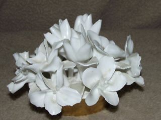Newly listed Crown Staffordshire England Fine Bone China flora cluster