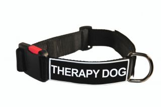 Dog Collar With Velcro Patches by Dean Tyler Therapy Dog
