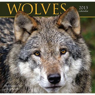 Wolves 2013 Mini Wall Calendar