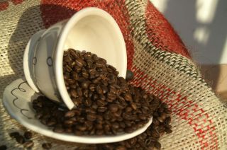 10 15 lbs Papua New Guinea Kimel A Coffee Beans