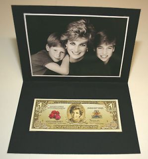NEW  RARE   Princess Diana 2012 GOLD £1 MILLION POUNDS /Photo