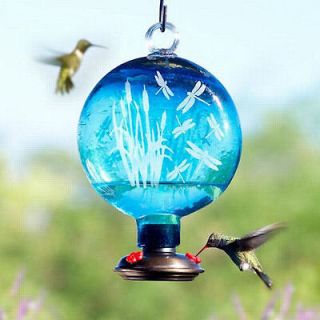 SUN DROP DRAGONFLY   Aqua Blown Glass   Etched Humming bird Nectar
