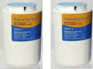 Water Filter for General Electric GWF, MWF 2 Pack WSG 1