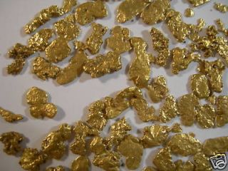 lb Montana gold nugget panning paydirt sample bag
