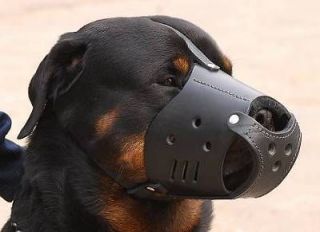 The Leader Leather Padded Comfortable Dog Muzzle