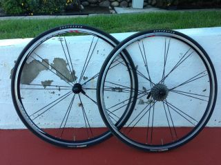 Bontrager Race Wheels w Tires and Tubes