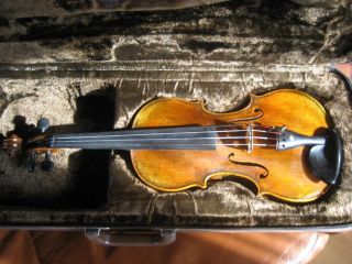 Traumhaft schöne alte 4/4 Violine Dominicus Busan