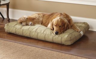 Toughchew Rectangle Dog Bed / Medium Dogs Up To 70 Lbs., Tan Multi