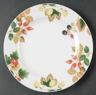 Nancy Calhoun English Country Fruit Salad Plate, Fine China Dinnerware   Apollo,
